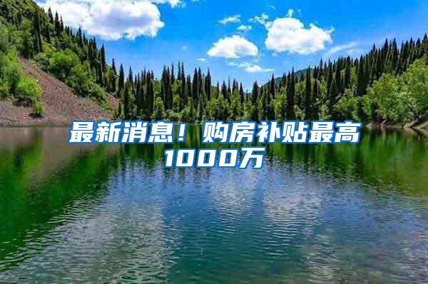 最新消息！购房补贴最高1000万