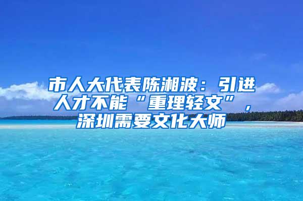 市人大代表陈湘波：引进人才不能“重理轻文”，深圳需要文化大师