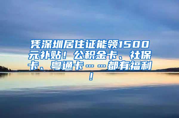 凭深圳居住证能领1500元补贴！公积金卡、社保卡、粤通卡……都有福利！