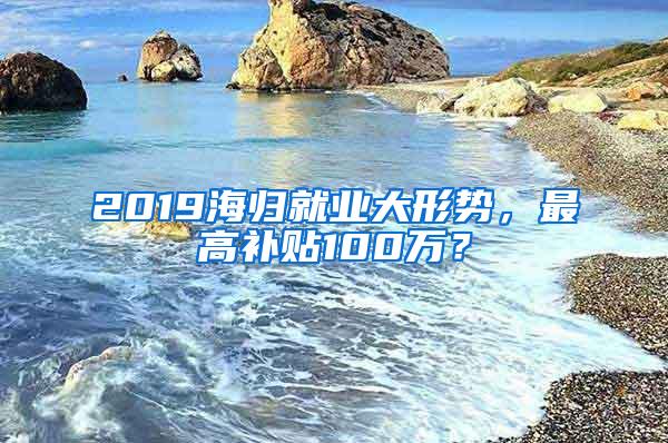 2019海归就业大形势，最高补贴100万？