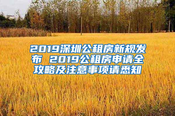 2019深圳公租房新规发布 2019公租房申请全攻略及注意事项请悉知