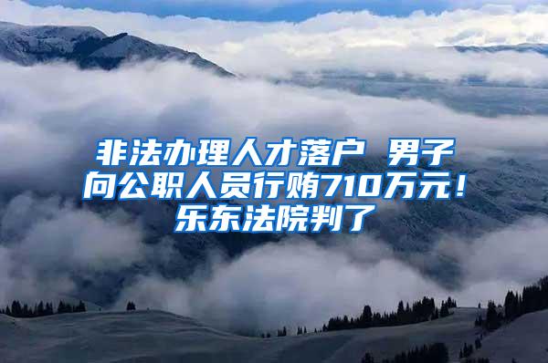 非法办理人才落户 男子向公职人员行贿710万元！乐东法院判了