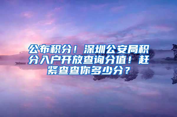 公布积分！深圳公安局积分入户开放查询分值！赶紧查查你多少分？