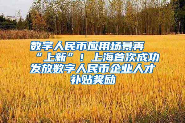 数字人民币应用场景再“上新”！上海首次成功发放数字人民币企业人才补贴奖励