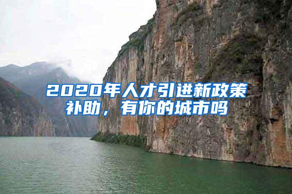 2020年人才引进新政策补助，有你的城市吗