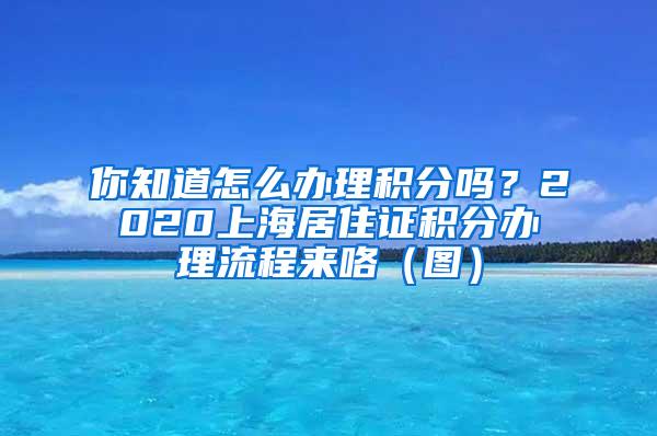 你知道怎么办理积分吗？2020上海居住证积分办理流程来咯（图）