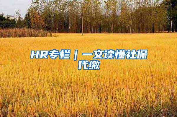 HR专栏｜一文读懂社保代缴