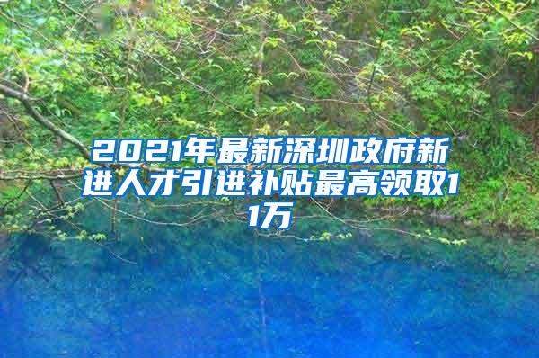 2021年最新深圳政府新进人才引进补贴最高领取11万