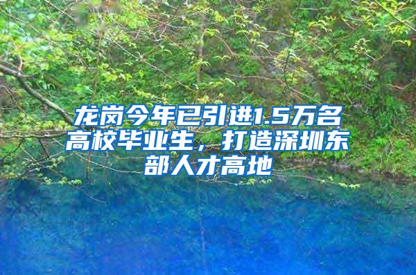 龙岗今年已引进1.5万名高校毕业生，打造深圳东部人才高地