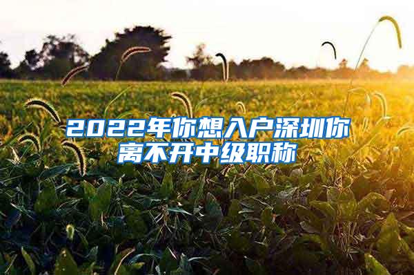 2022年你想入户深圳你离不开中级职称