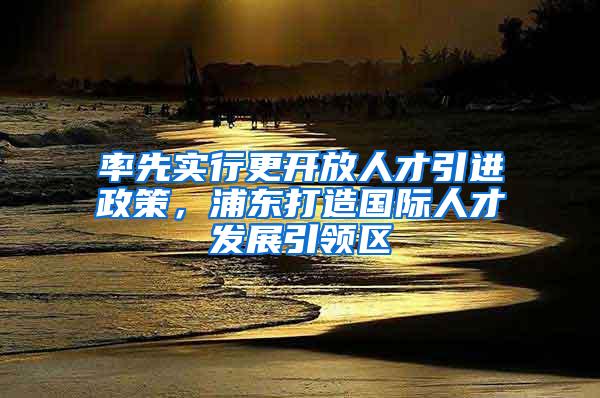 率先实行更开放人才引进政策，浦东打造国际人才发展引领区