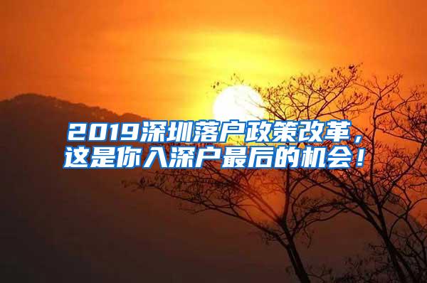 2019深圳落户政策改革，这是你入深户最后的机会！