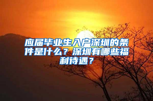 应届毕业生入户深圳的条件是什么？深圳有哪些福利待遇？