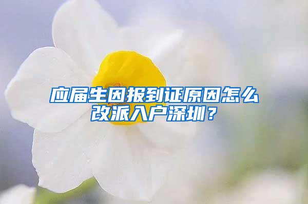 应届生因报到证原因怎么改派入户深圳？