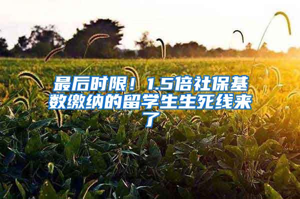 最后时限！1.5倍社保基数缴纳的留学生生死线来了