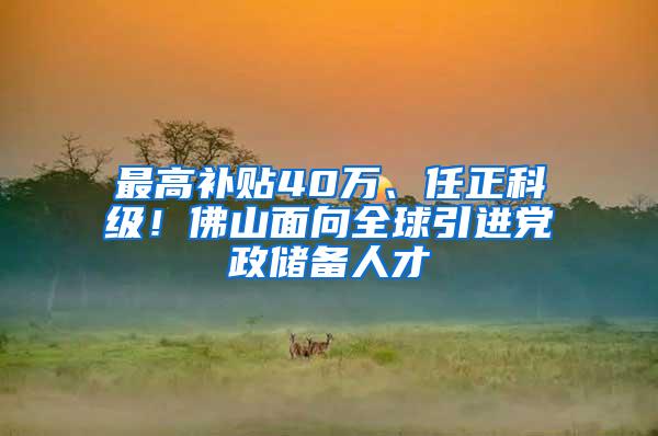 最高补贴40万、任正科级！佛山面向全球引进党政储备人才