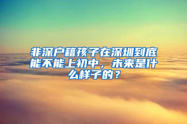 非深户籍孩子在深圳到底能不能上初中，未来是什么样子的？