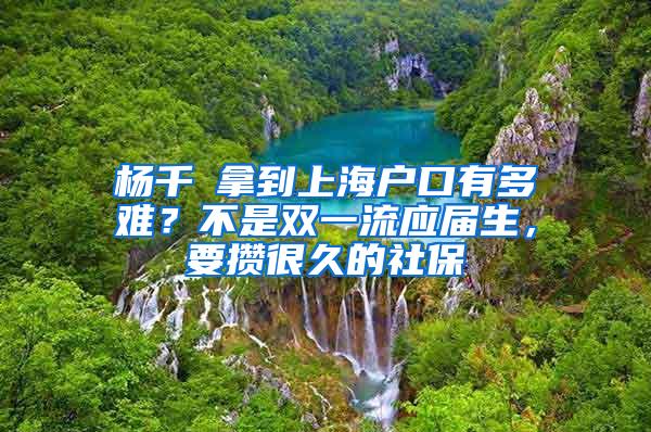 杨千嬅拿到上海户口有多难？不是双一流应届生，要攒很久的社保