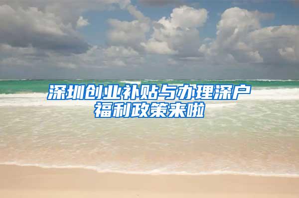 深圳创业补贴与办理深户福利政策来啦