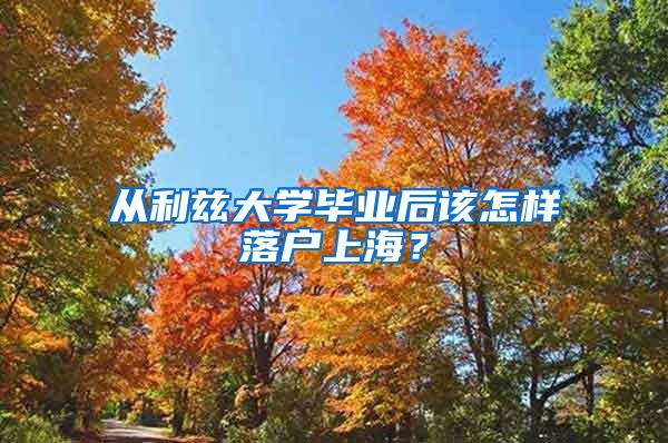 从利兹大学毕业后该怎样落户上海？