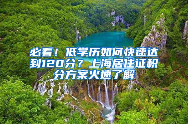 必看！低学历如何快速达到120分？上海居住证积分方案火速了解