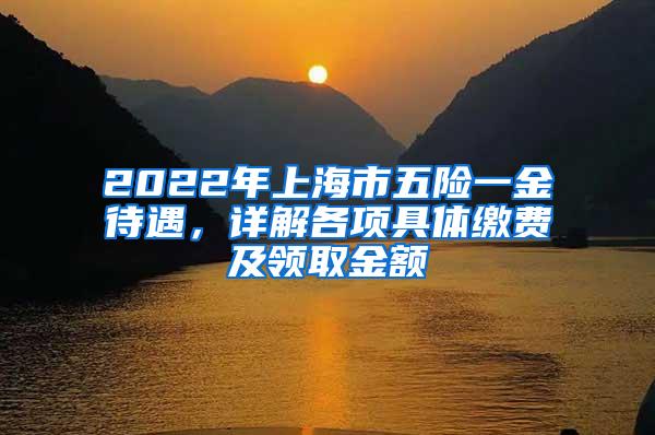 2022年上海市五险一金待遇，详解各项具体缴费及领取金额