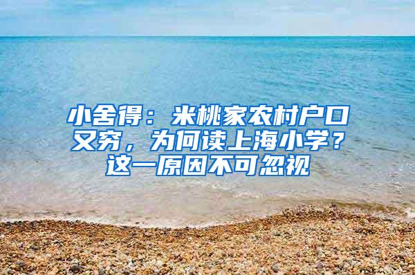 小舍得：米桃家农村户口又穷，为何读上海小学？这一原因不可忽视