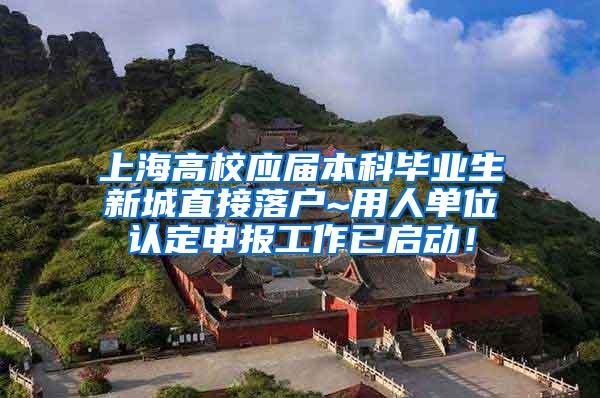 上海高校应届本科毕业生新城直接落户~用人单位认定申报工作已启动！