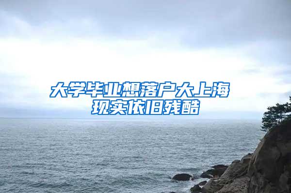 大学毕业想落户大上海 现实依旧残酷