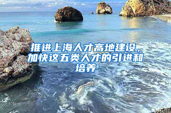 推进上海人才高地建设，加快这五类人才的引进和培养