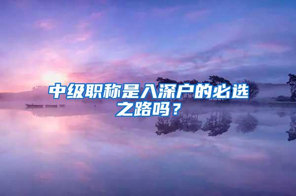 中级职称是入深户的必选之路吗？