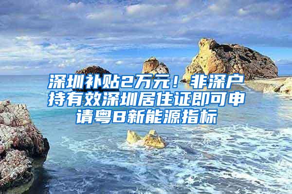 深圳补贴2万元！非深户持有效深圳居住证即可申请粤B新能源指标