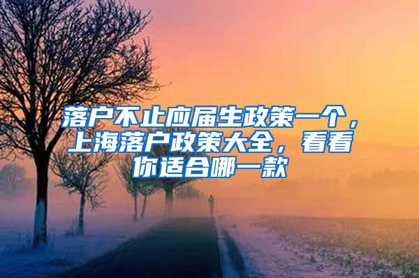 落户不止应届生政策一个，上海落户政策大全，看看你适合哪一款