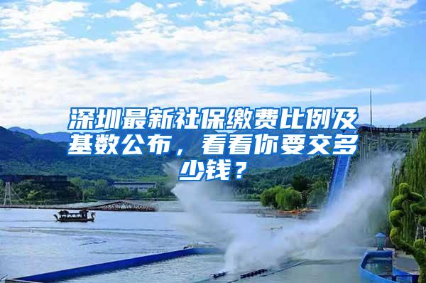 深圳最新社保缴费比例及基数公布，看看你要交多少钱？