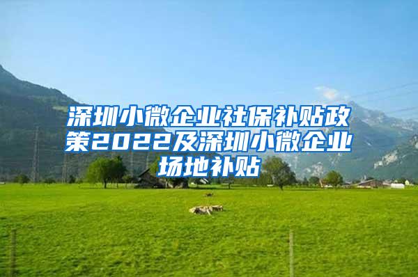 深圳小微企业社保补贴政策2022及深圳小微企业场地补贴