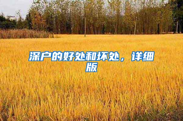 深户的好处和坏处，详细版