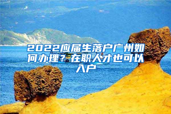 2022应届生落户广州如何办理？在职人才也可以入户