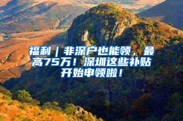 福利｜非深户也能领，最高75万！深圳这些补贴开始申领啦！