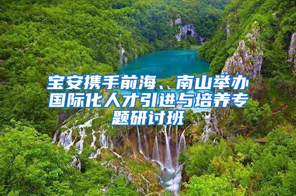 宝安携手前海、南山举办国际化人才引进与培养专题研讨班