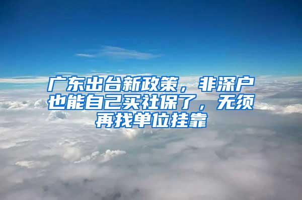 广东出台新政策，非深户也能自己买社保了，无须再找单位挂靠