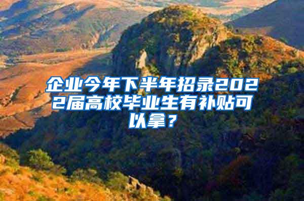 企业今年下半年招录2022届高校毕业生有补贴可以拿？