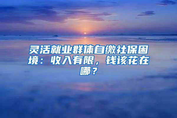 灵活就业群体自缴社保困境：收入有限，钱该花在哪？