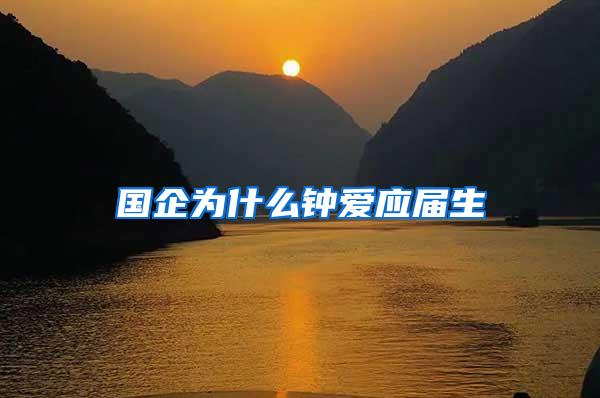 国企为什么钟爱应届生