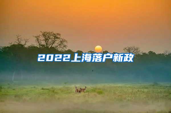 2022上海落户新政