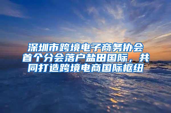深圳市跨境电子商务协会首个分会落户盐田国际，共同打造跨境电商国际枢纽