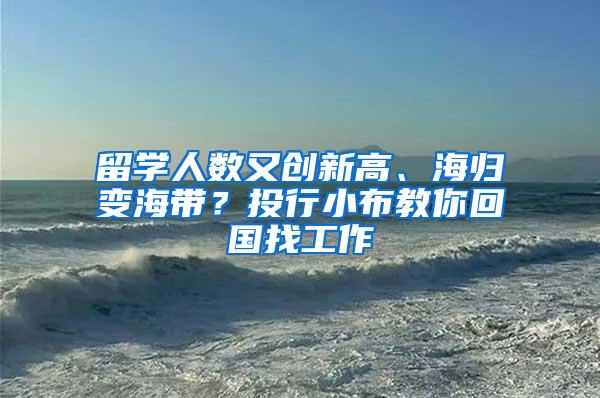 留学人数又创新高、海归变海带？投行小布教你回国找工作