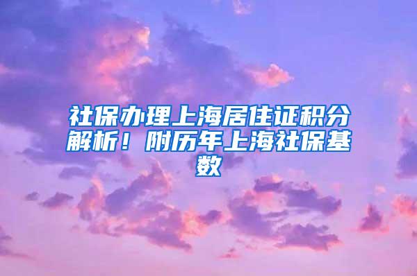 社保办理上海居住证积分解析！附历年上海社保基数