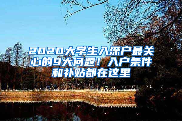 2020大学生入深户最关心的9大问题！入户条件和补贴都在这里