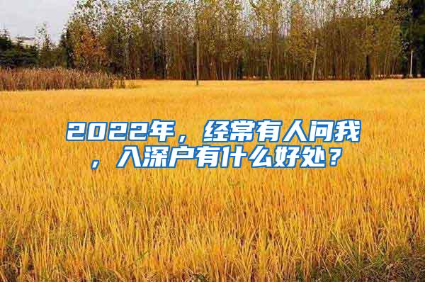 2022年，经常有人问我，入深户有什么好处？