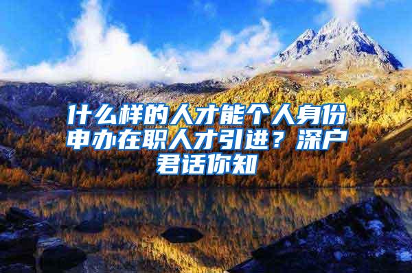 什么样的人才能个人身份申办在职人才引进？深户君话你知